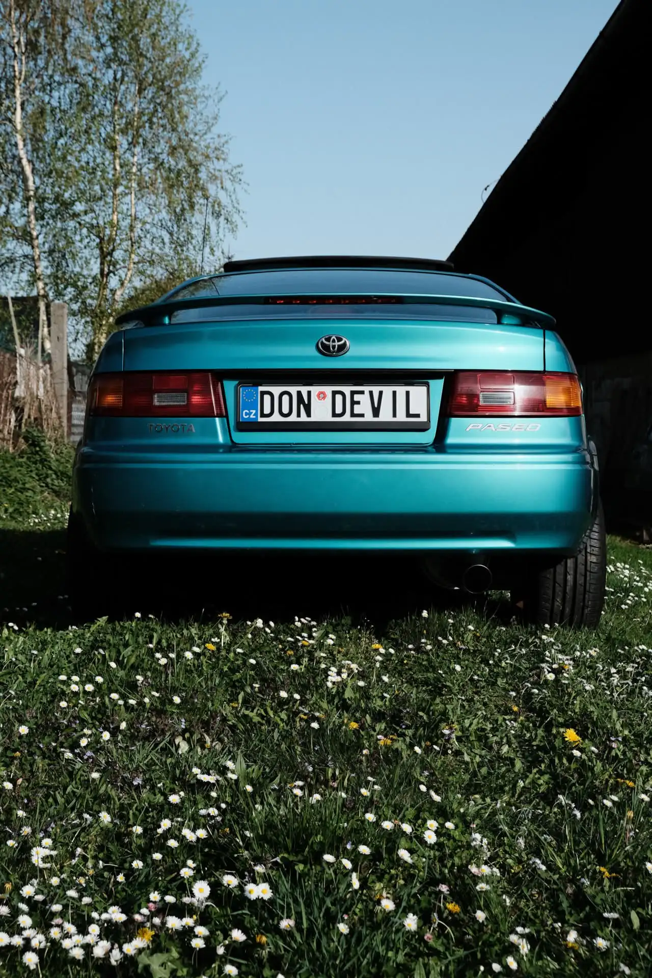 Fotografie paseo 1 (automotive foto).