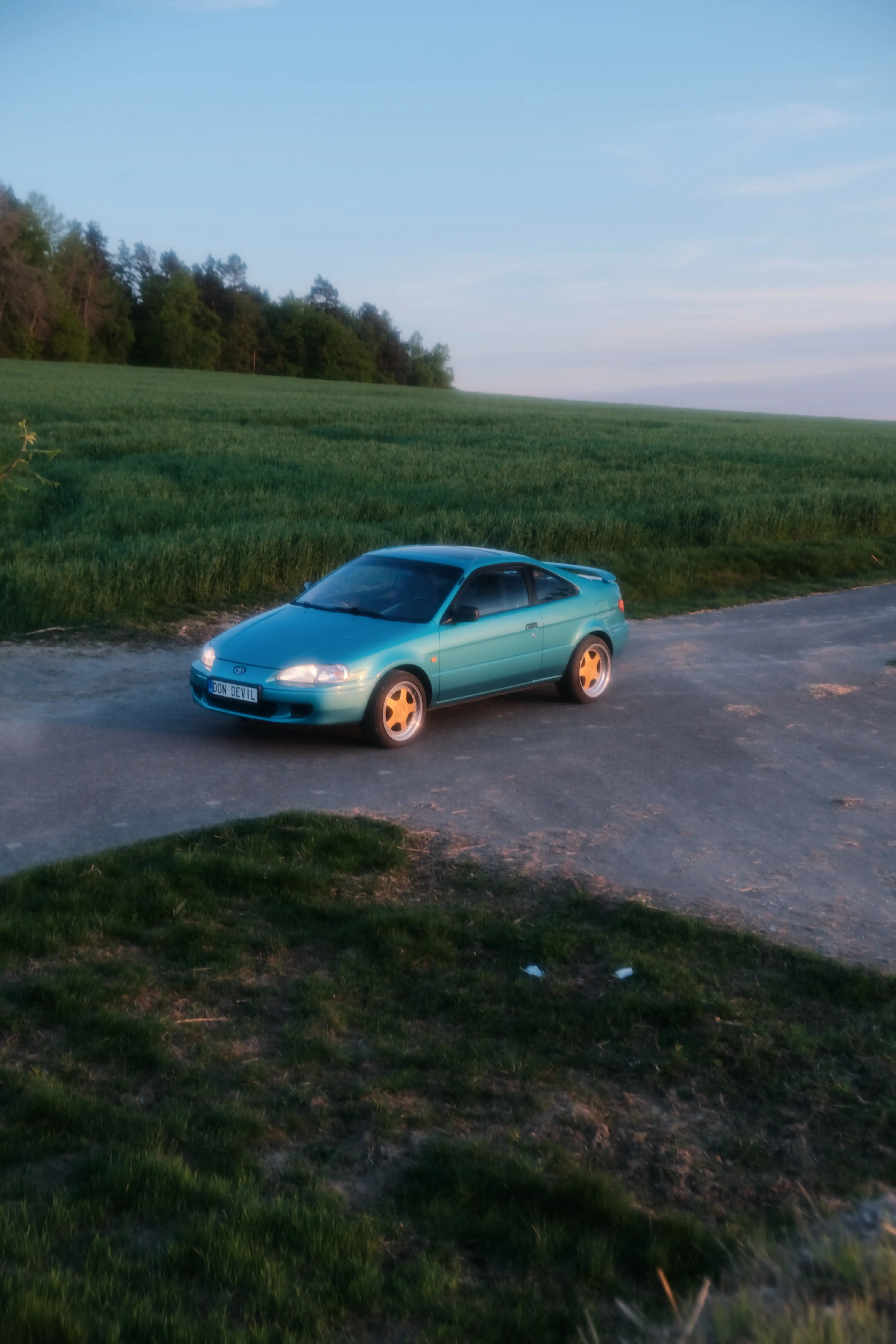 Fotografie paseo 10 (automotive foto).