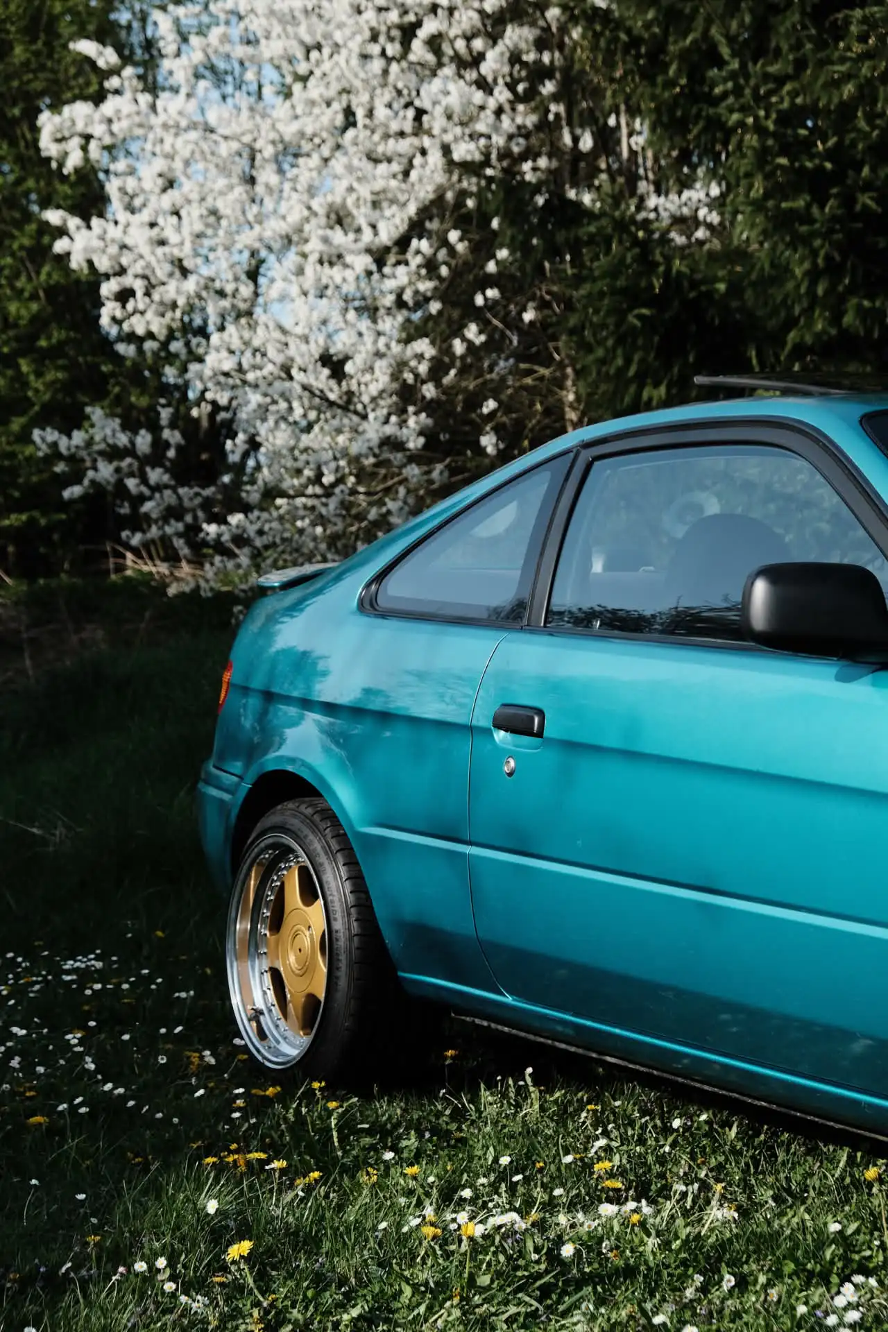 Fotografie paseo 2 (automotive foto).