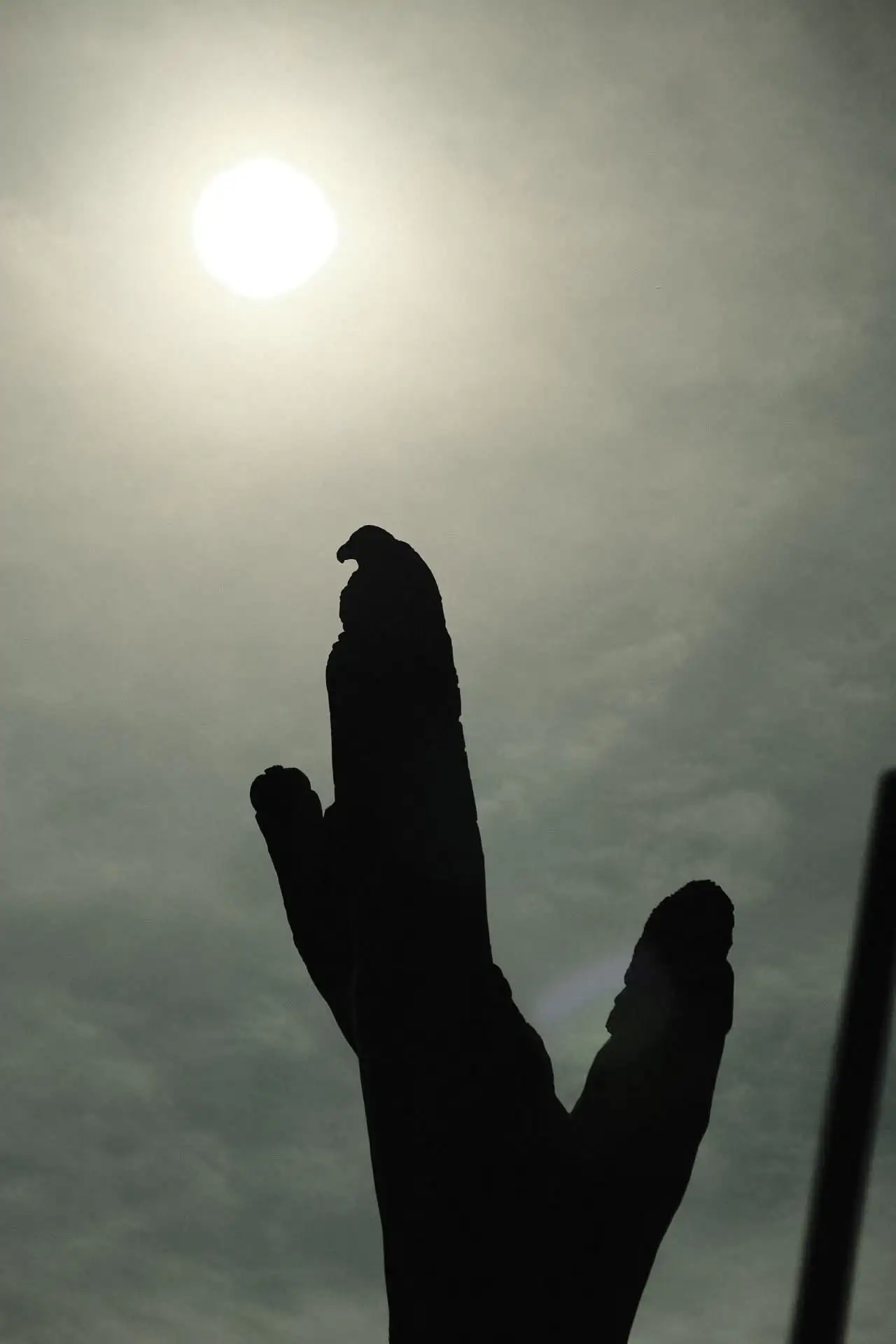 Fotografie ryzmberk 2 (přírodní foto).