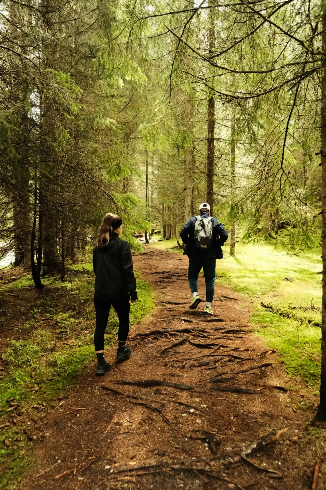 Fotografie sumava 3 (přírodní foto, portrétní foto).