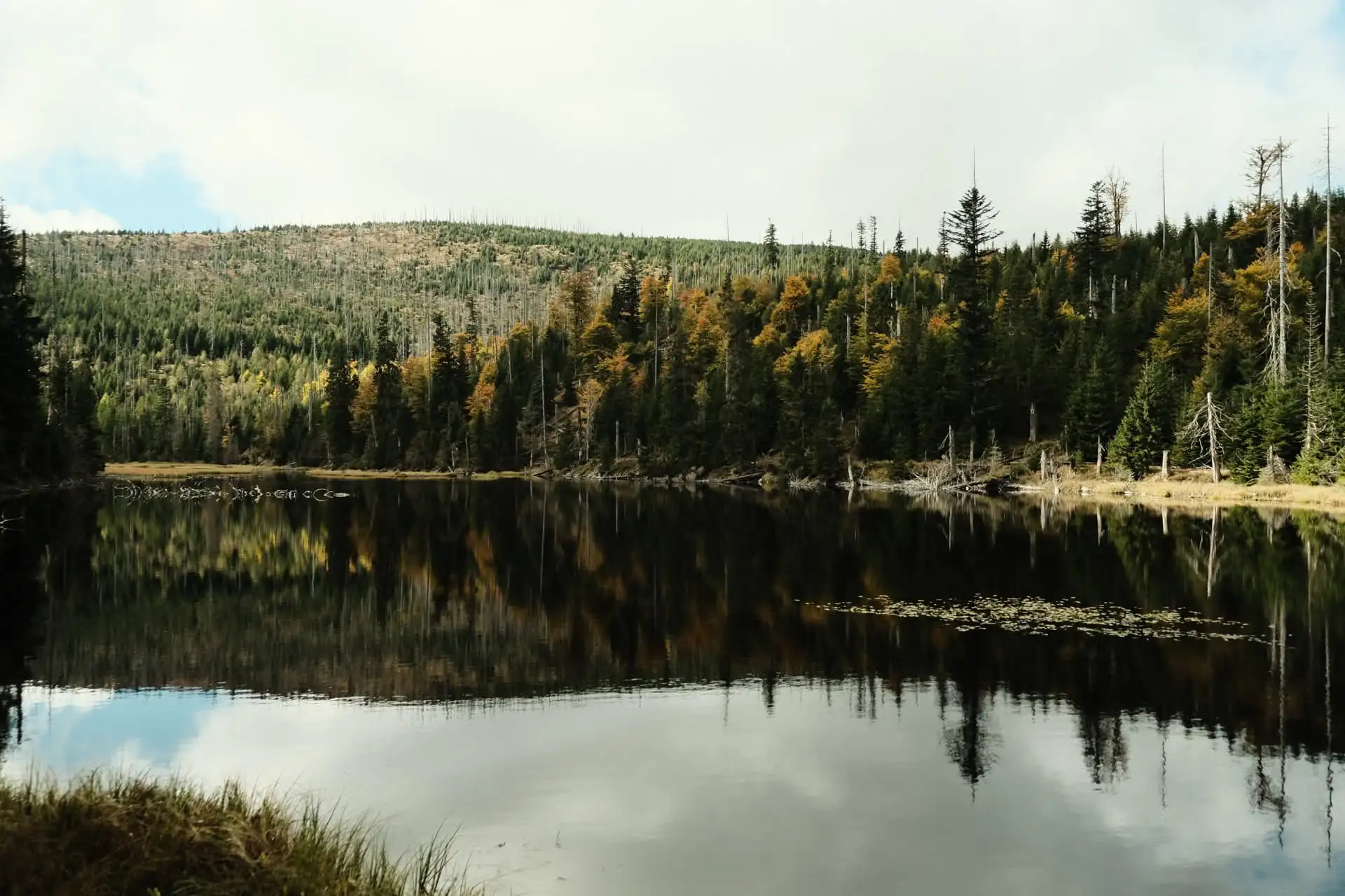 Fotografie sumava 4 (přírodní foto).