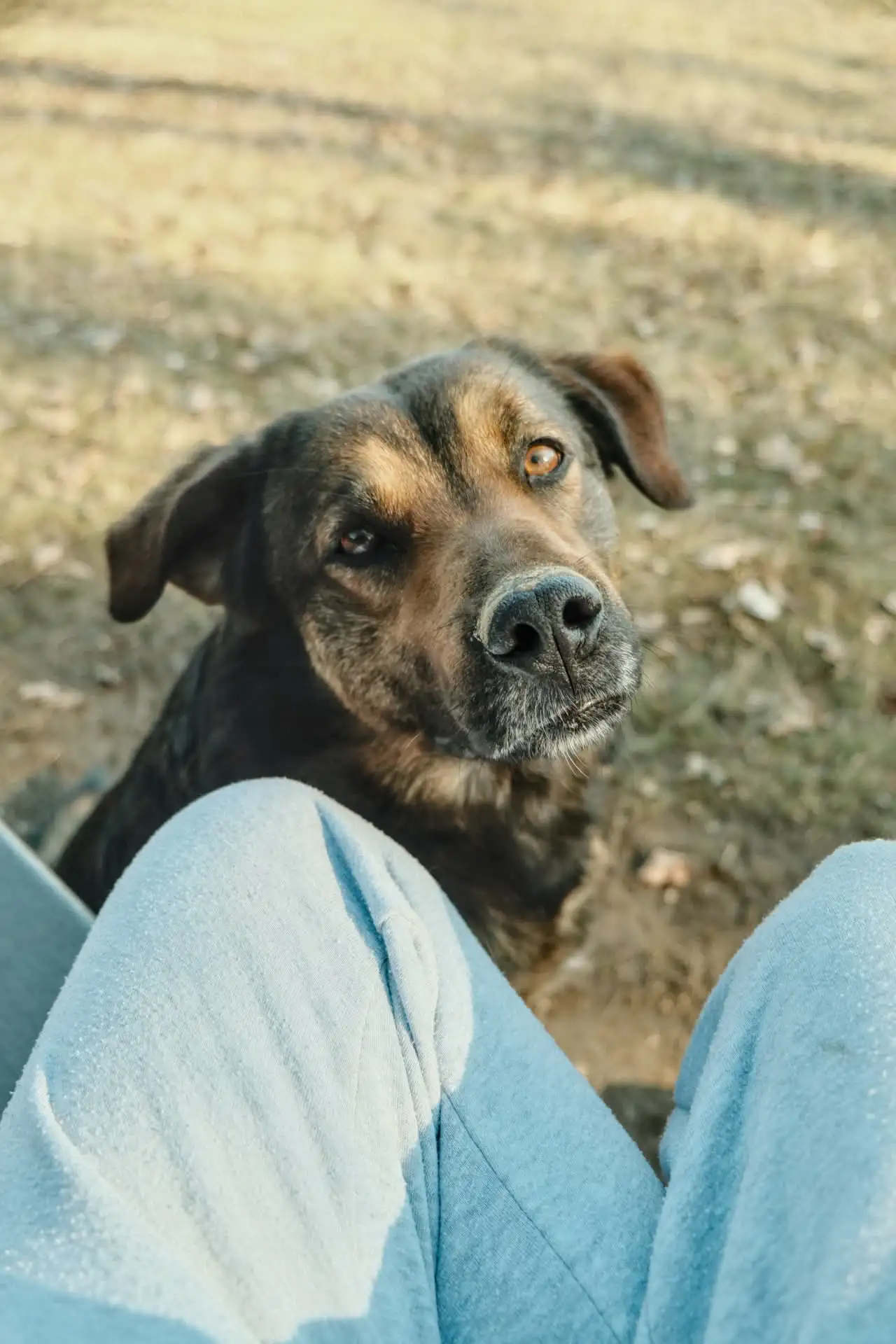 Fotografie vojta 2 (zvířecí foto).