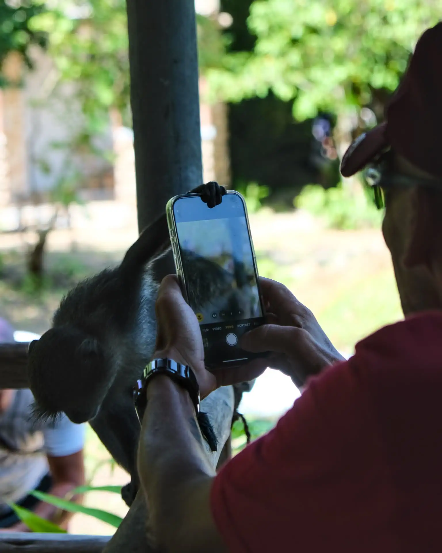 Fotografie zanzibar 5 (cestovatelské foto).